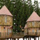 JK Rowling to build Treehouses for her kids
