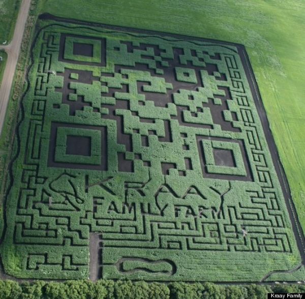 Lacombe Corn Maze is the world’s largest functioning QR code