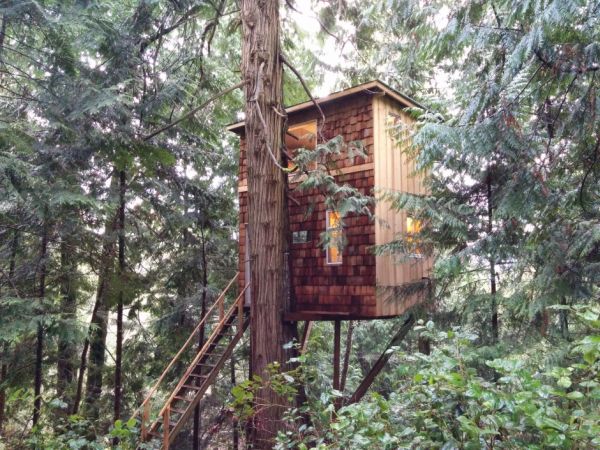 PhD student builds treehouse for himself on Pender Island, Canada