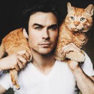 Hollywood stars mark National Cat Day with their beloved felines