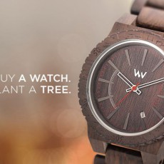 Wooden Timepieces by WeWood Watches