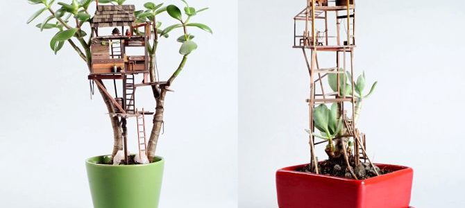 Treehouse Sculptures: Artist brings treehouses indoor for houseplants