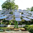 World’s largest solar tree installed in West Bengal, India